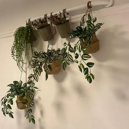 Professor Dahls Gate 16 *